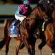 Image for article titled Can Dirtbags, Pretty Ladies, And Twitter Save Horse Racing?